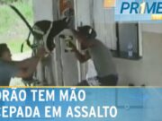 Assaltante tem mão decepada ao tentar roubar lanchonete na Bahia; veja
