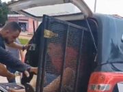 Polícia prende faccionados que extorquiram empresário e incendiaram lojas