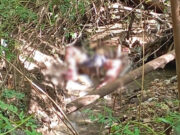 Corpo de homem é encontrado atrás de motel em Cuiabá