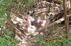 Corpo de homem é encontrado atrás de motel em Cuiabá