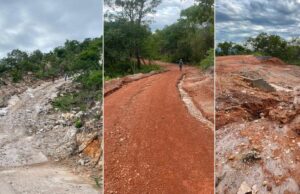 Promotora quer responsabilizar culpados por crime ambiental no Morro de Santo Antônio
