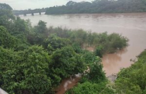 Defesa Civil monitora nível do Rio Cuiabá, que se aproxima da ‘cota de atenção’