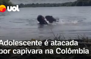 Capivara ataca adolescente em lago e dá mordida até na cabeça; veja