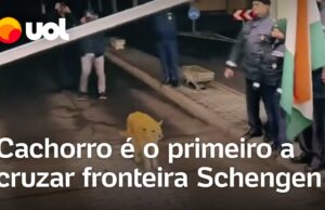Cachorro é o primeiro a cruzar fronteira após Romênia aderir ao espaço Schengen