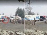 Trem destrói caminhão em passagem de nível, e dois ocupantes escapam por pouco