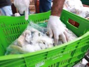 Vigilância Sanitária realiza descarte de produtos irregulares