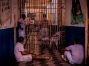 Prisão em Mato Grosso vira ‘castigo medieval’