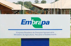 STF manda Estado devolver valores de ICMS recolhidos nos últimos 5 anos da Embrapa