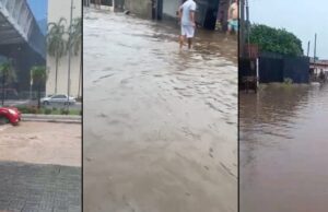 Chuva alaga ruas de Cuiabá e VG, derruba árvores e afeta hospital; veja vídeos