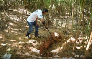 Procedimentos complexos identificam vítimas encontradas em áreas de mata