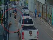 Pit-bull é morto após atacar mulher com bebê e cachorro em Goiás; veja