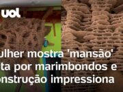 Marimbondos constroem ‘mansão’ de 66 andares em curral e construção impressiona