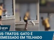 Jovem atira gato no telhado para se “divertir” com amigos no Ceará; veja