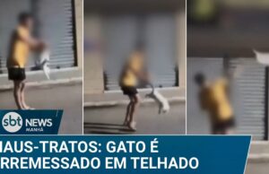 Jovem atira gato no telhado para se “divertir” com amigos no Ceará; veja