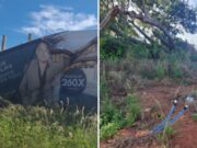 Leonardo e empresários são processados por venda ilegal de lotes