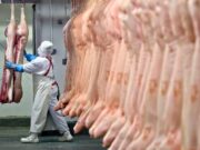 Governo brasileiro dialoga com China para retomar exportação de 3 frigoríficos, diz secretário