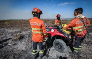 Estado lança Plano de Ação de Combate ao Desmatamento Ilegal e Incêndios Florestais