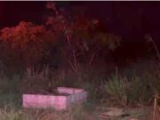 Homem que obrigou namorada abortar e jogou feto na mata é preso em Sorriso