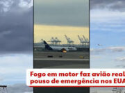 Colisão com pássaro faz motor de avião pegar fogo, e piloto faz pouso de emergência