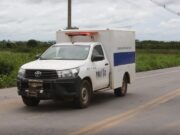 Árvore cai e mata trabalhador durante poda em fazenda do interior do Estado