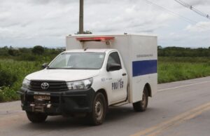 Árvore cai e mata trabalhador durante poda em fazenda do interior do Estado