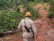 Idosa com Alzheimer é resgatada em mata após horas desaparecida
