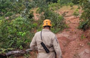 Idosa com Alzheimer é resgatada em mata após horas desaparecida
