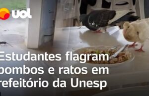 Estudantes flagram pombos e ratos em refeitório da Unesp; veja