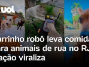 Carrinho robô leva comida para cachorros e gatos de rua em bairro no RJ; veja vídeos