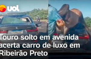BMW atingida por touro tem perda total: vídeo mostra animal em fuga