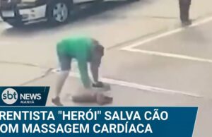 Câmera flagra frentista salvando cachorro com massagem cardíaca; veja
