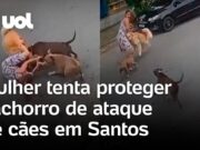 Mulher tenta proteger cachorro de ataque de cães no meio da rua no litoral de SP; veja