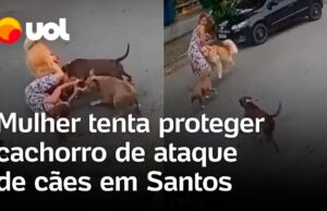 Mulher tenta proteger cachorro de ataque de cães no meio da rua no litoral de SP; veja