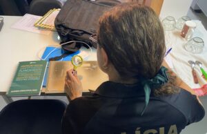 PF mira fraudadores de contas vinculadas à plataforma GOV.BR