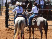 Shows, esporte e inclusão marcam os primeiros dias da 12ª Semana do Cavalo