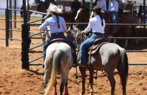 Shows, esporte e inclusão marcam os primeiros dias da 12ª Semana do Cavalo