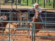 12ª Semana do Cavalo começa hoje, confira programação completa