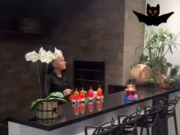 Xuxa alimenta morcegos em casa e situação choca internautas; veja