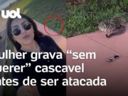 Mulher grava ‘sem querer’ cascavel antes de ser atacada em Goiás; veja o momento