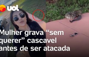 Mulher grava ‘sem querer’ cascavel antes de ser atacada em Goiás; veja o momento