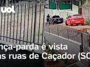 Onça-parda é vista circulando pelas ruas de Caçador (SC)