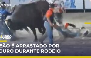 Peão é arrastado por touro em rodeio de Hortolândia (SP) e sobrevive