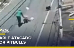 Gari é atacado por pitbulls durante coleta de lixo em Minas Gerais; veja o momento