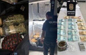 Operação prende 4 e encontra estufa com maconha em VG