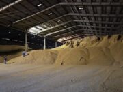 PF mira grupo acusado de fraude em carga de grãos