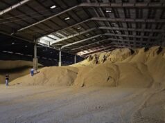 PF mira grupo acusado de fraude em carga de grãos