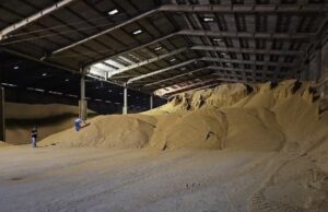 PF mira grupo acusado de fraude em carga de grãos