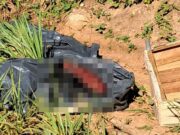 Corpo é encontrado enrolado em lona e com sinais de tortura