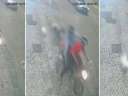 Criminosos em moto arrastam idosa e cachorros no Rio de Janeiro; veja