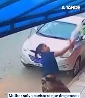 Mulher salva cão pendurado pela coleira após queda da varanda de prédio; veja o momento